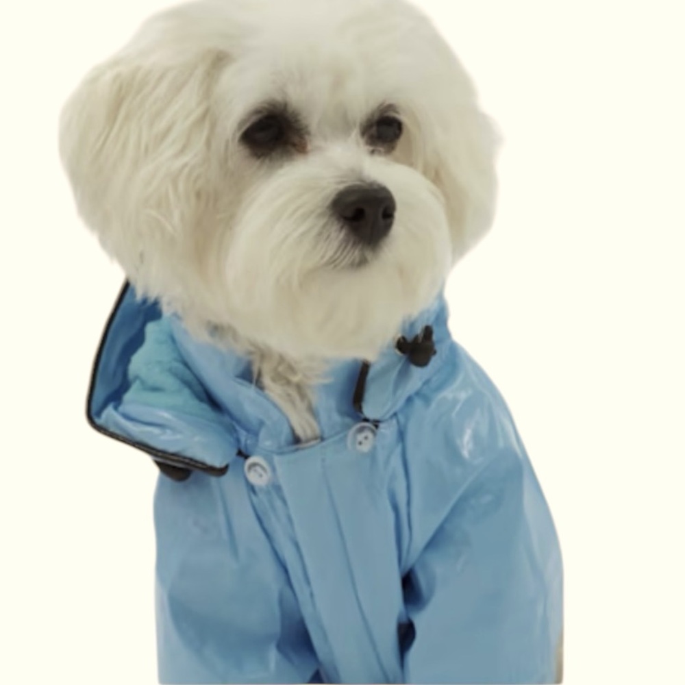 Pet Life baby blue PVC Fashion Waterproof dog rain coat slicker Small NEW